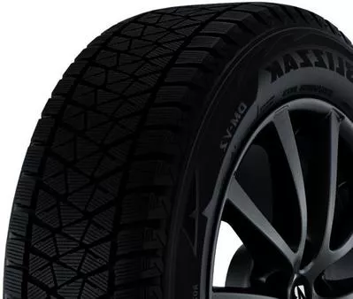 Bridgestone Blizzak DM V2 (