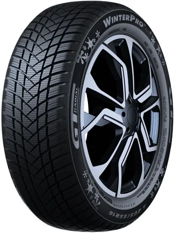 GT Radial Winter Pro 2 evo tyre