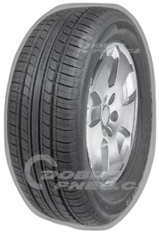 Minerva F109