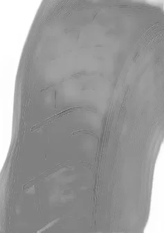 Dunlop SP Sport MAXX GT600