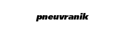 PneuVraník Everest HPL